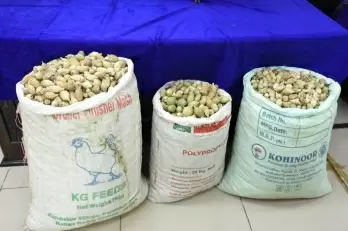 Man held in Punjab for possessing 55 kg opium